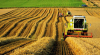 Опыт государственного регулирования и поддержки сельского хозяйства за рубежом